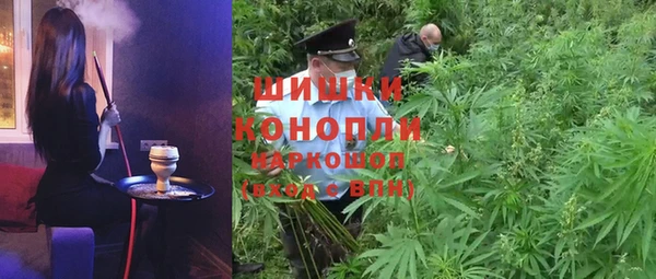 круглые Корсаков
