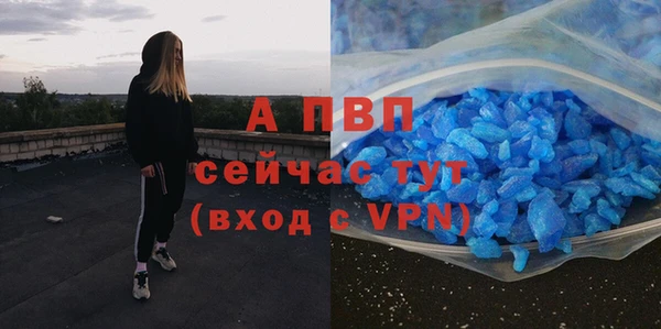 круглые Корсаков