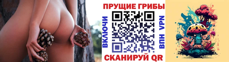 Купить где  Балей  Галлюциногенные грибы GOLDEN TEACHER 